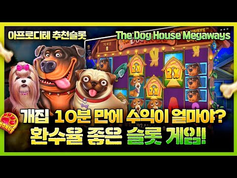 [슬롯][슬롯머신] 🧡THE DOG HOUSE MEGAWAYS🧡 개집 10분 만에 수익이 얼마야?환수율 좋은 슬롯 게임!
