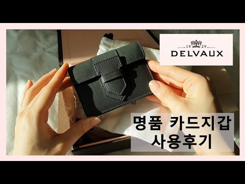 (Eng) 델보 카드지갑/Delvaux Card holder review