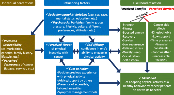 Factors Influencing Physical Activity Participation Among People Living  With Or Beyond Cancer: A Systematic Scoping Review | International Journal  Of Behavioral Nutrition And Physical Activity | Full Text