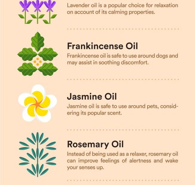 Essential Oils That Are Safe To Diffuse Around Dogs