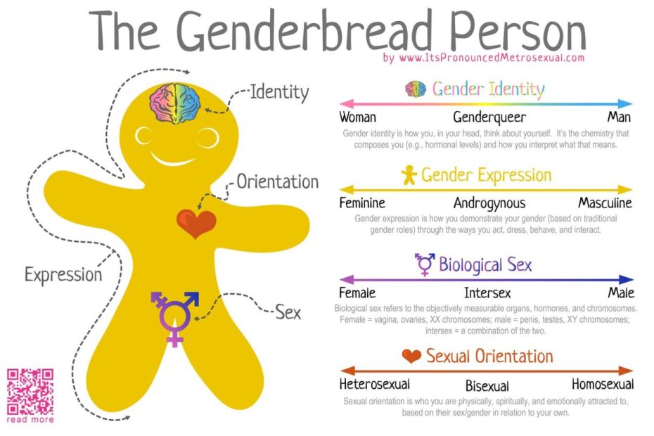 Dimensions Of Gender - Diverse & Resilient