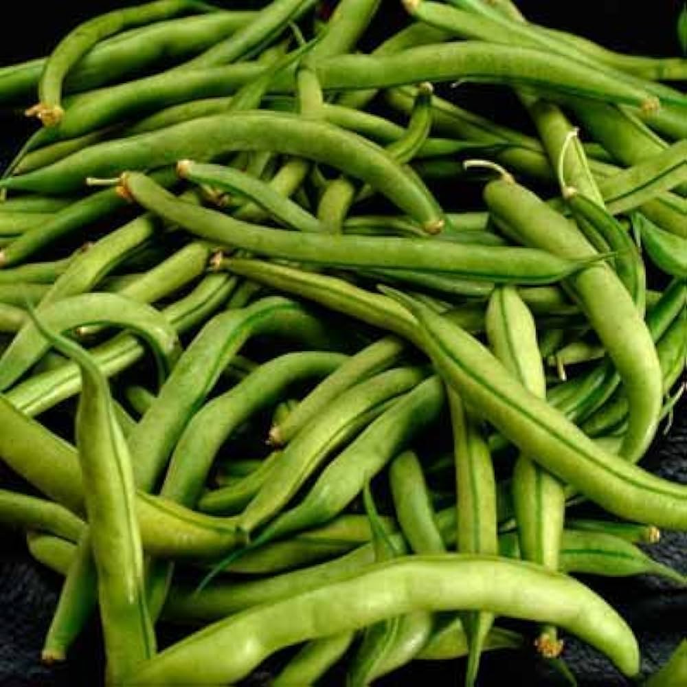 Amazon.Com: Snap Beans Green Fresh Produce Fruit Vegetables Per Pound :  Grocery & Gourmet Food