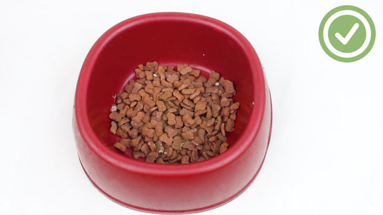 How To Make A Dog'S Dry Food Tastier So He Will Eat It All