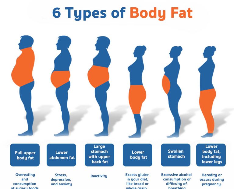 6 Types Of Body Fat - Vejthani Hospital | Jci Accredited International  Hospital In Bangkok, Thailand.