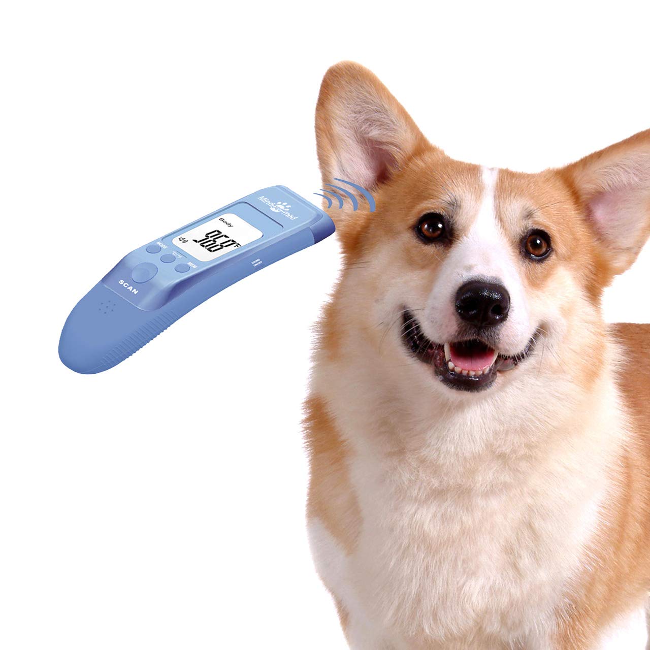 Amazon.Com : Mindpet-Med Fast Clinical Pet Thermometer For Dogs, Cats,  Animals With 3 Switchable Modes (Body, Object Surface Temp,Room), Body  Modes Accurately Measures Pet Ear Temperature, C/F Switchable : Pet Supplies
