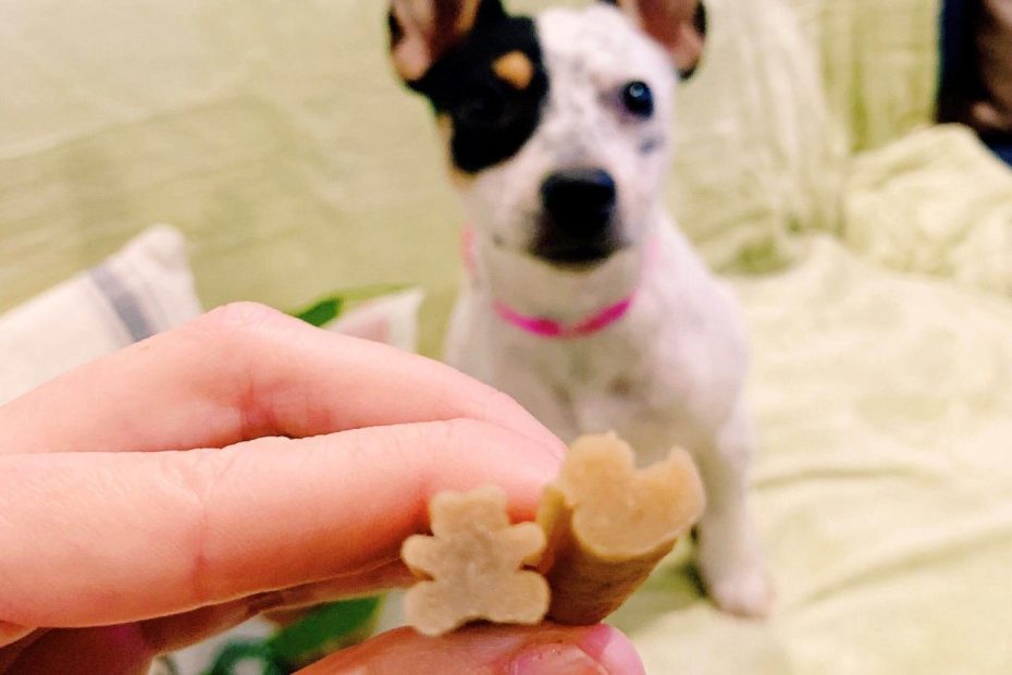 Puppy Dental Treat For Dogs - Whimzees