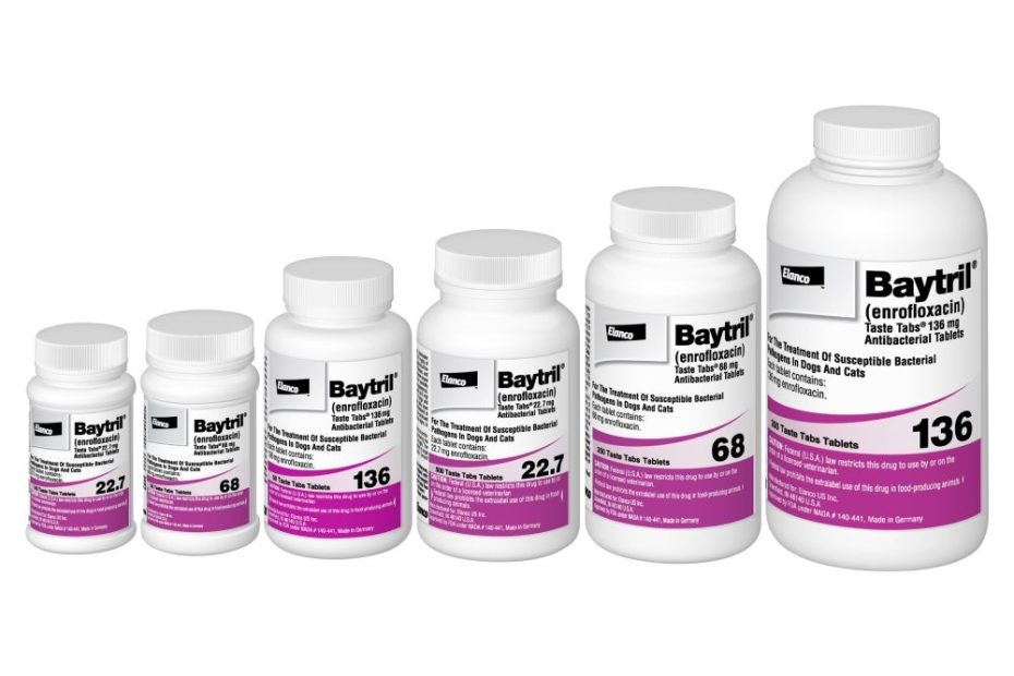 Baytril® (Enrofloxacin) Antibacterial Tablets For Dogs, Cats