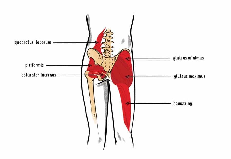 Chronically Tight Quads? It Might Be An Iliacus Trigger Point