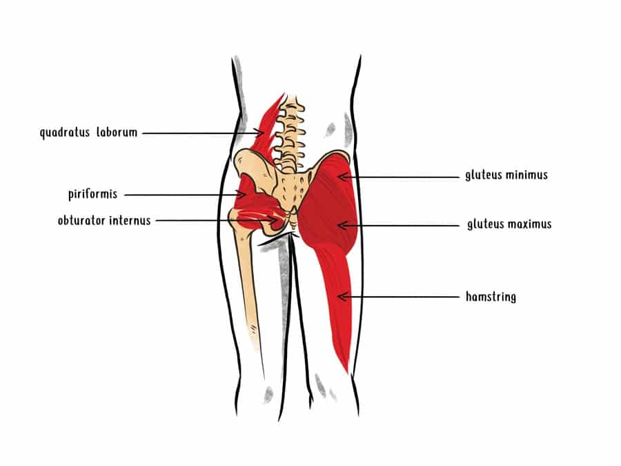 Chronically Tight Quads? It Might Be An Iliacus Trigger Point