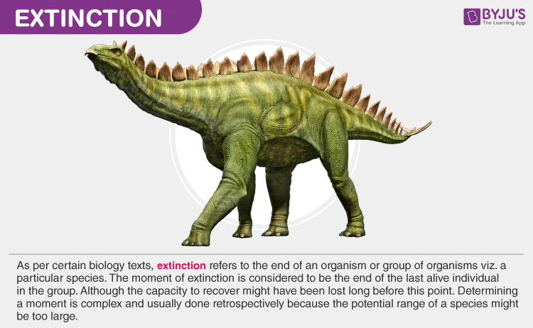 What Is Extinction? - Causes And Examples