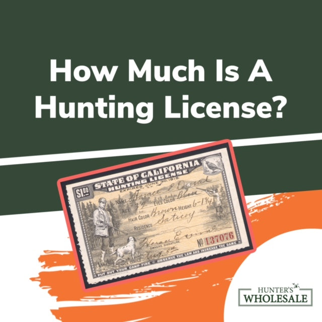 How Much Is A Hunting License? [All 50 States - 2023 Update] - Hunter'S  Wholesale