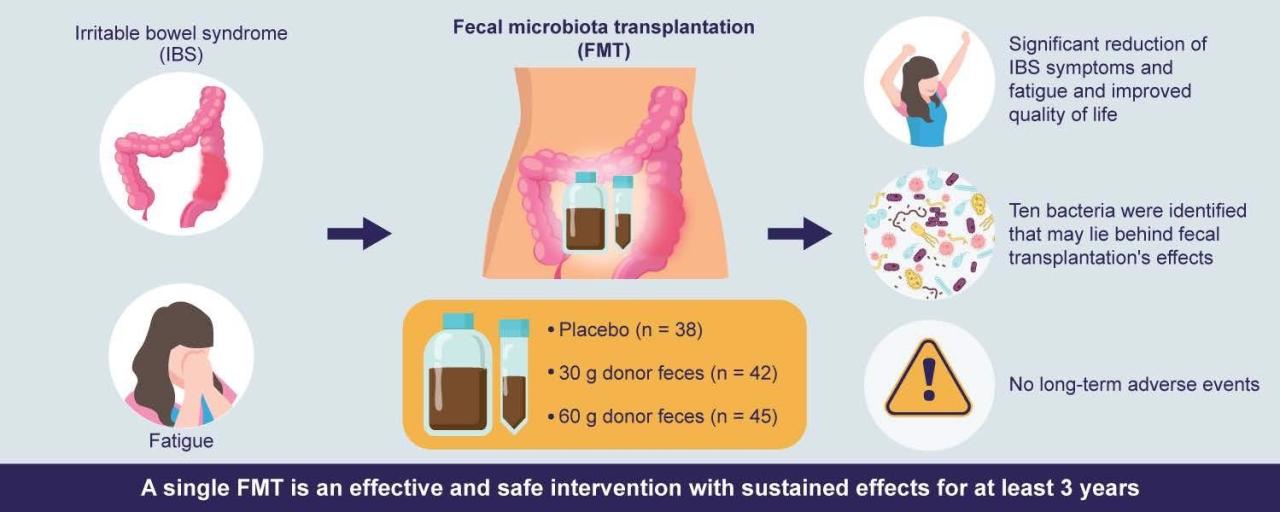 Fecal Microbiota Transplant Shows Durable Effect In Treating Irritable  Bowel Syndrome