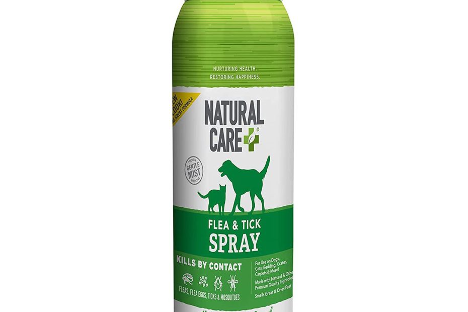 6 Bug Sprays For Dogs To Help You And Your Pet Avoid Mosquitos And Other  Backyard Pests