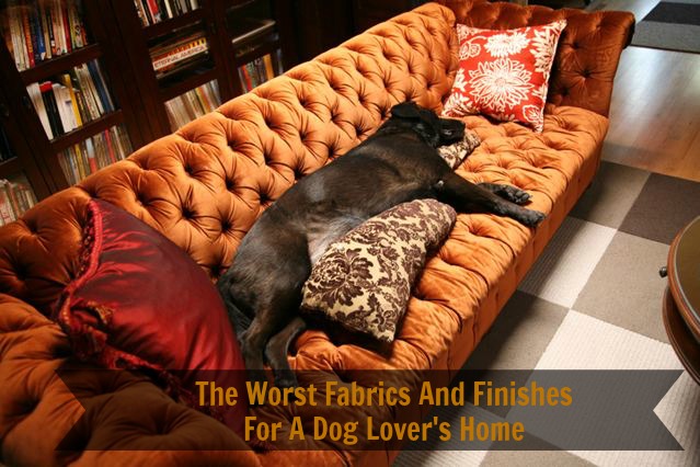 The Best And Worst Fabrics And Finishes For A Dog Lover'S Home