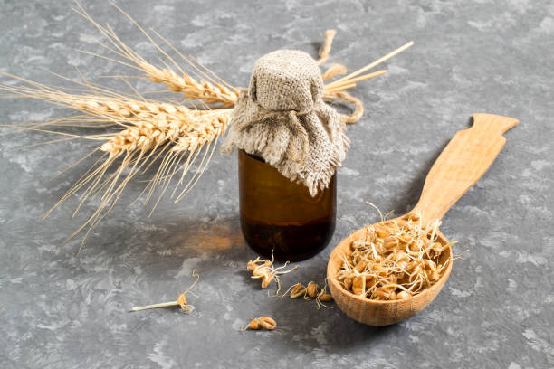 Fresh Germinated Wheat Seeds And Wheat Germ Oil Stock Photo - Download  Image Now - Wheat, Cooking Oil, Virus - Istock