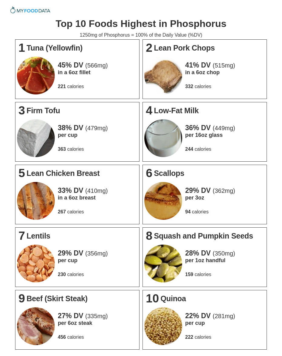 Top 10 Foods Highest In Phosphorus