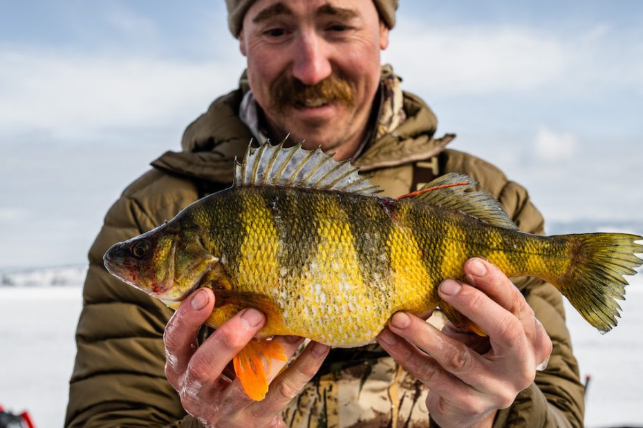How To Catch More Perch | Meateater Fishing