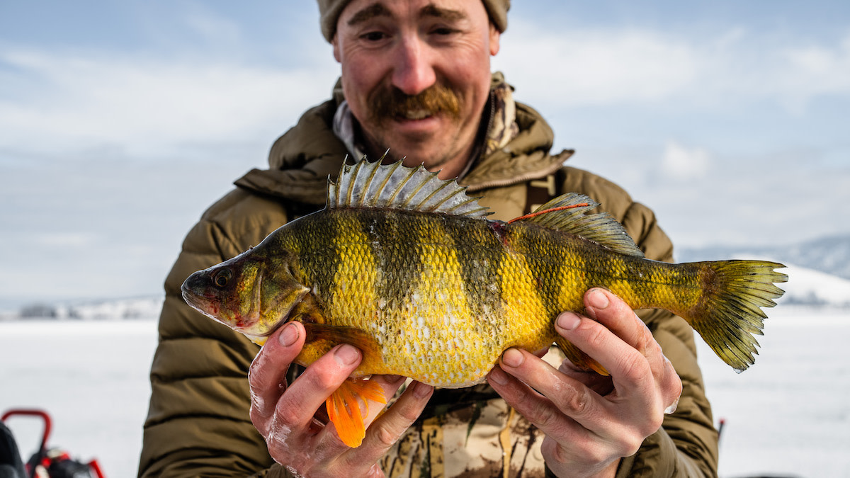 How To Catch More Perch | Meateater Fishing