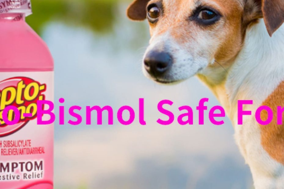Is Pepto-Bismol Safe For Dogs? - Hubpages