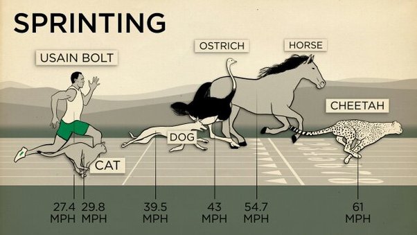 What Is The Fastest Possible Speed A Human Can Run? - Quora