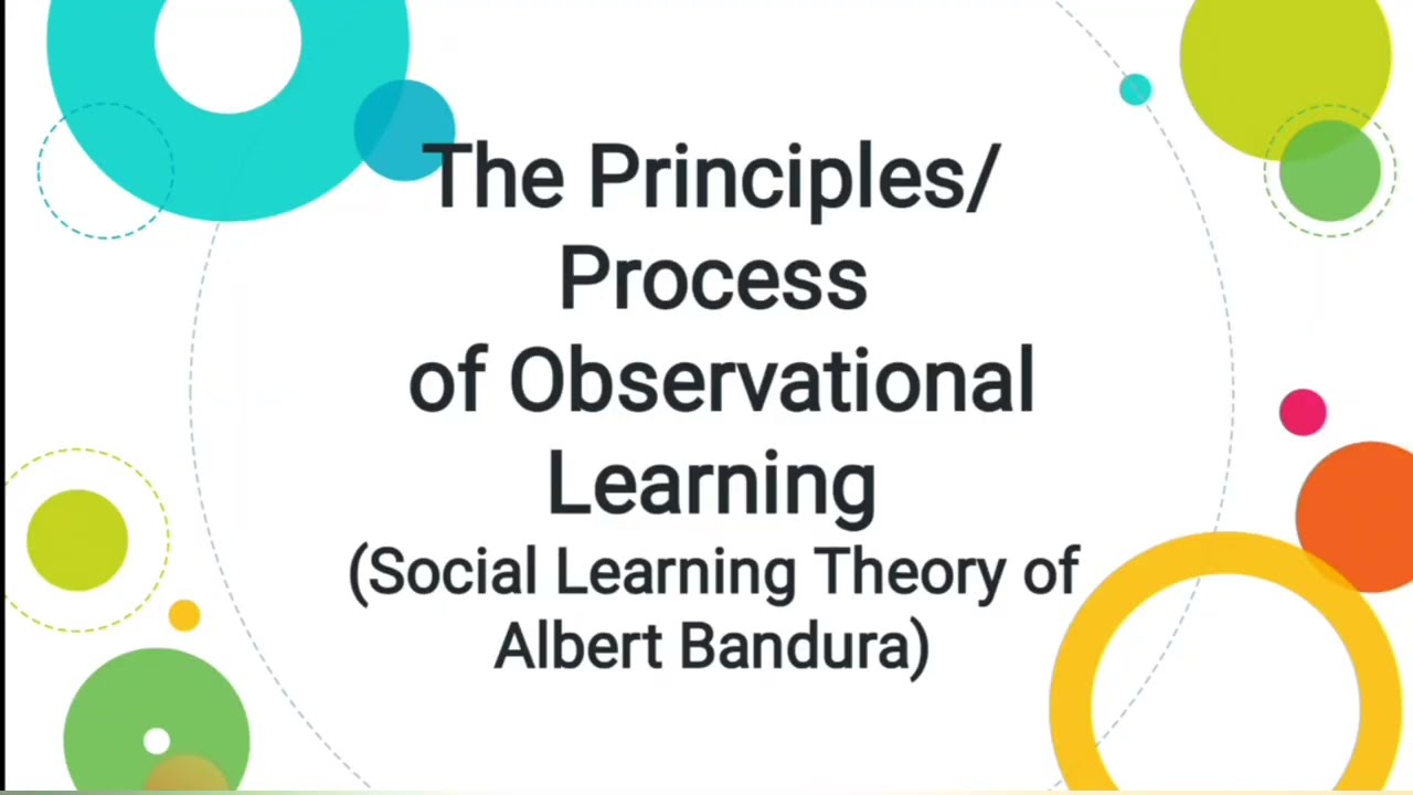 Principles Of Observational Learning (Social Learning Theory: Albert  Bandura) Psychology/Urdu/Hindi - Youtube