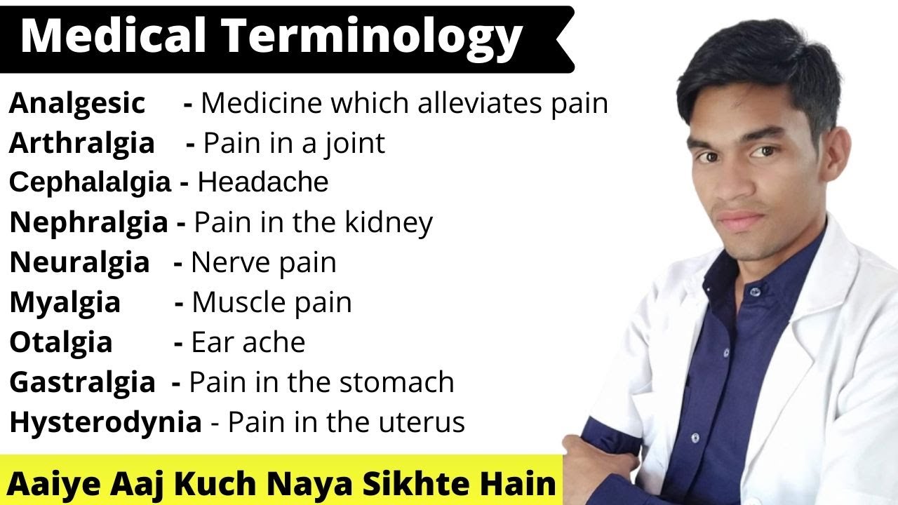 Medical Terminology - The Basics || Medical Knowledge || #R9Studyzone -  Youtube