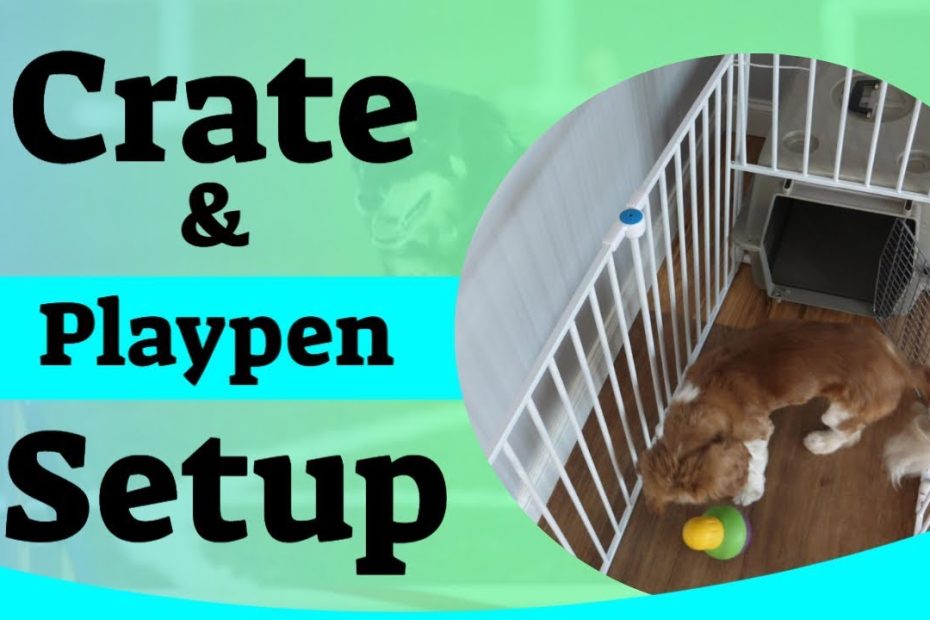 Puppy Crate Setup - Using A Puppy Playpen - Youtube