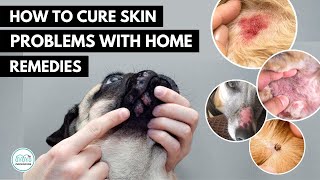 Can I Use Sudocrem On Dog Wound? - Mi Dog Guide