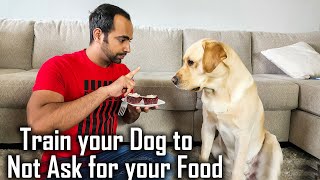 Train Your Dog/Puppy To Not Bark When Eating Food | Stop Asking For Food  Training - Youtube
