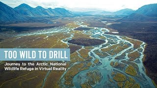 Too Wild To Drill: Journey To The Arctic Refuge In Virtual Reality -  Earthjustice