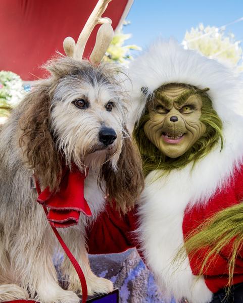 The Grinch Isn'T So Grinchy After All – Orange County Register
