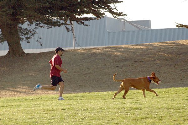 Jogging With Your Dog Improves Overall Fitness And Health - Whole Dog  Journal