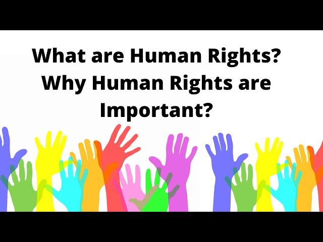 Human Rights | Why Human Rights Are Important. - Youtube