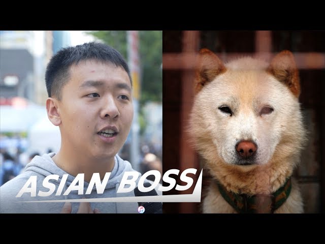 Do All Koreans Really Eat Dog Meat? (Street Interview) | Asian Boss -  Youtube