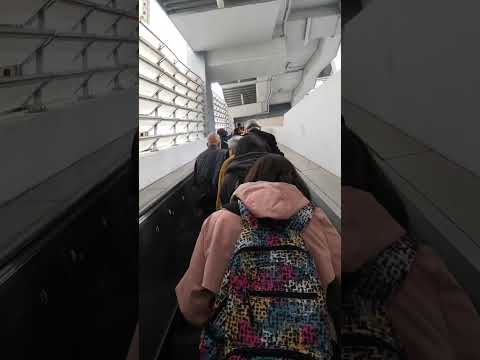 元朗西鐵站 B1九巴到落馬洲口岸到達出境情况 😄👏👏👏👍👍👍  16.02.2023